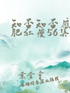 知否知否应是绿肥红瘦56集在线观看