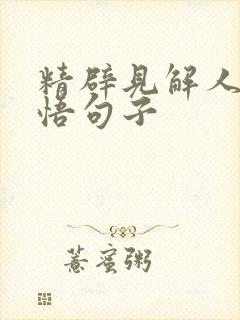 精辟见解人生感悟句子