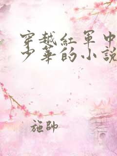 穿越红军中将徐少华的小说