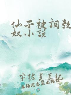 仙子被调教成肉奴小说