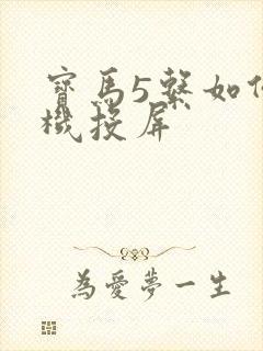 宝马5系如何手机投屏