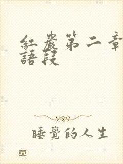 红岩第二章精彩语段