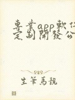 专业app软件定制开发公司