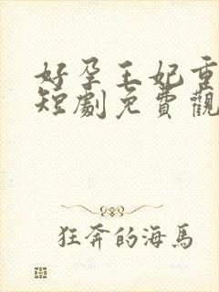 好孕王妃重生记短剧免费观看大结局