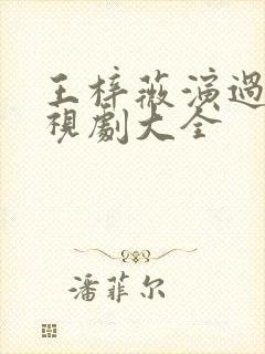 王梓薇演过的电视剧大全