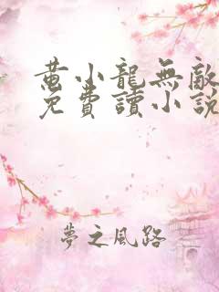 黄小龙无敌天下免费读小说