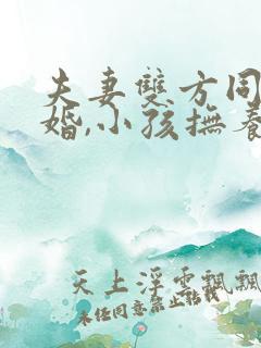 夫妻双方同意离婚,小孩抚养权归谁?
