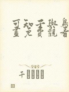 可知子与鸟君漫画免费观看