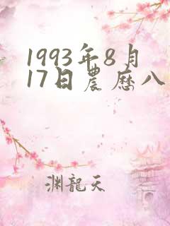 1993年8月17日农历八字命理