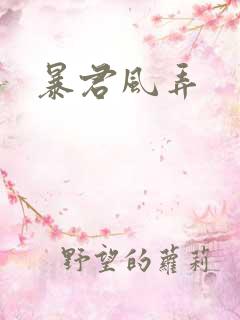 暴君风弄