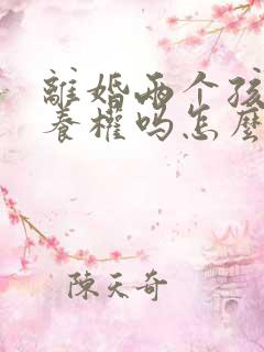 离婚两个孩子抚养权吗怎么判
