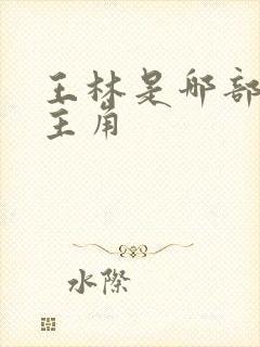 王林是哪部小说主角