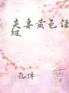 夫妻黄色录像一级