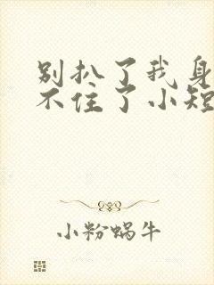 别扒了我身份藏不住了小短剧