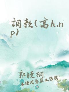 调教(高h,np)