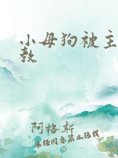 小母狗被主人调教