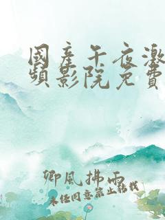 国产午夜激情视频影院免费在线观看
