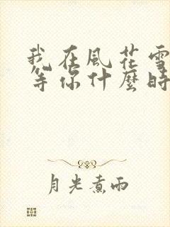 我在风花雪月里等你什么时候写的