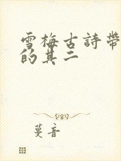 雪梅古诗带拼音的其二