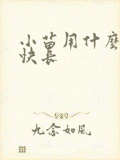 小苗用什么肥料快长