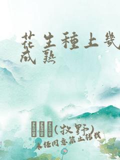 花生种上几个月成熟
