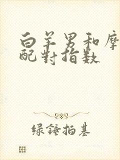 白羊男和摩羯女配对指数