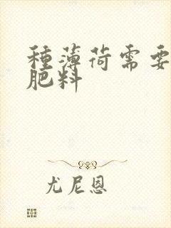种薄荷需要什么肥料