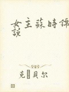 女主苏时锦的小说