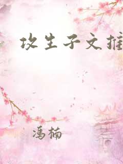 攻生子文推荐