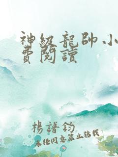 神级龙帅小说免费阅读