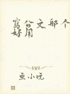 写公文哪个ai好用