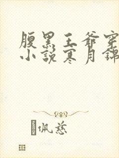 腹黑王爷穿越妃小说寒月锦