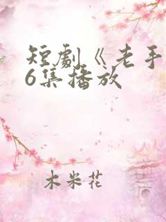短剧《老手》36集播放