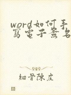 word如何手写电子签名