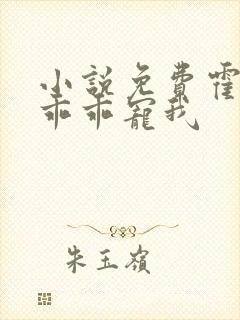小说免费霍先生乖乖宠我