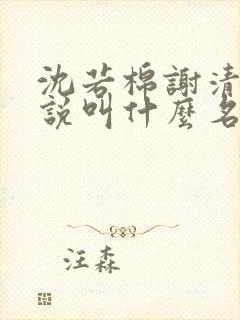 沈若棉谢清樾小说叫什么名字