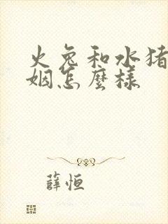 火兔和水猪的婚姻怎么样