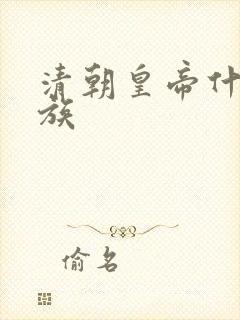 清朝皇帝什么民族