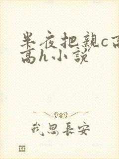 半夜把亲c高潮高h小说