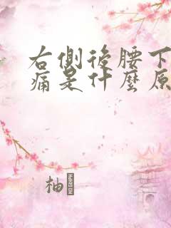 右侧后腰下部疼痛是什么原因
