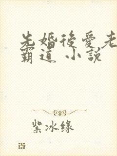 先婚后爱老公太霸道 小说