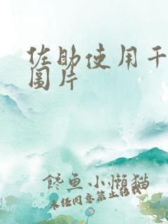 佐助使用千鸟的图片