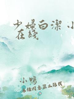 少妇白洁 小说 在线