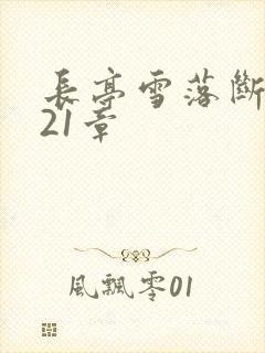长亭雪落断归期21章