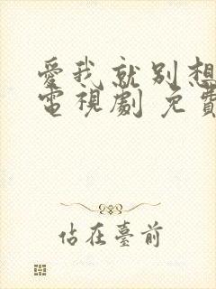 爱我就别想太多电视剧 免费