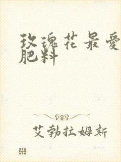 玫瑰花最爱3种肥料