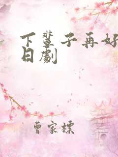 下辈子再好好过日剧