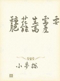 种花生需要什么肥能高产