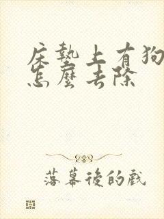 床垫上有狗的尿怎么去除