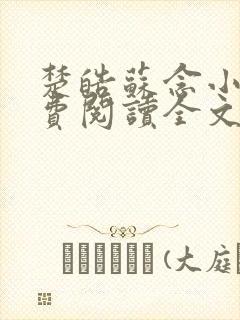 楚皓苏念小说免费阅读全文最新